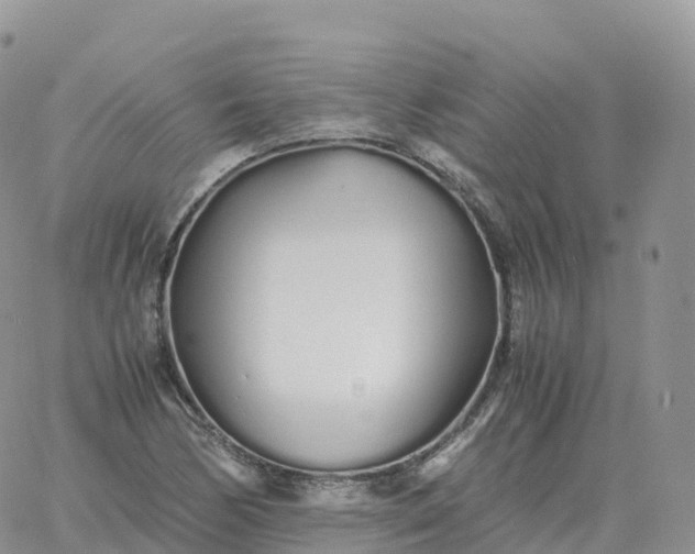 X0000060771170200511241746