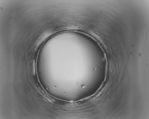 X0000060771171200511241746