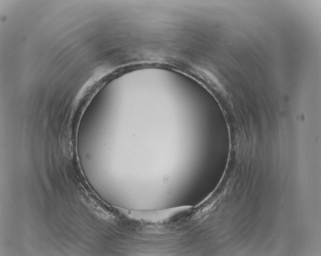 X0000060771172200511241746