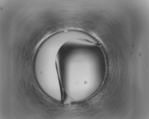 X0000060771173200511241746