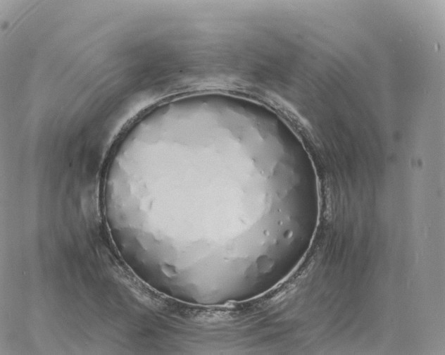 X0000060771174200511241746