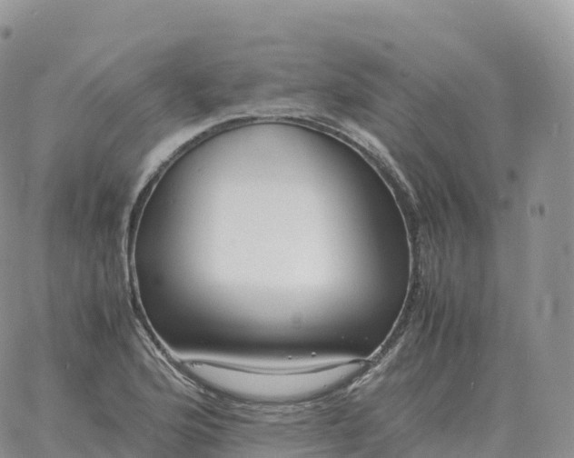 X0000060771176200511241746