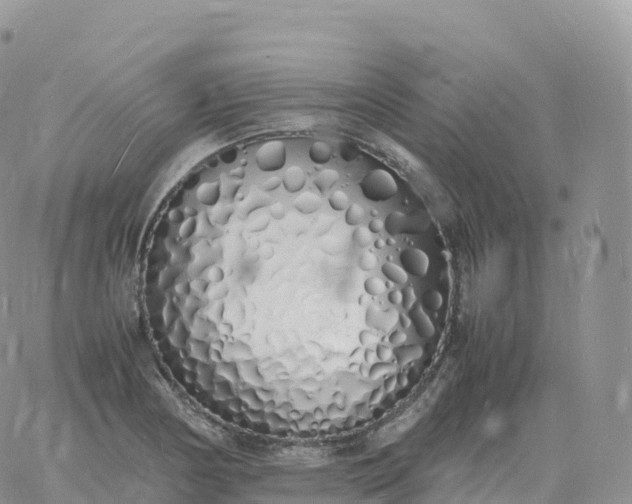 X0000060771178200511241746