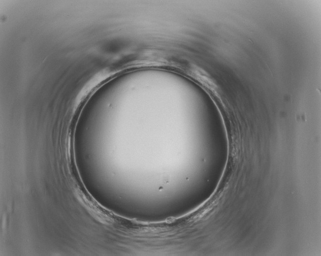 X0000060771179200511241746