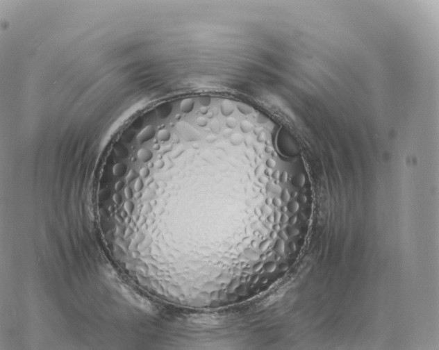 X0000060771182200511241746