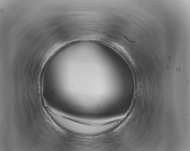 X0000060771184200511241746