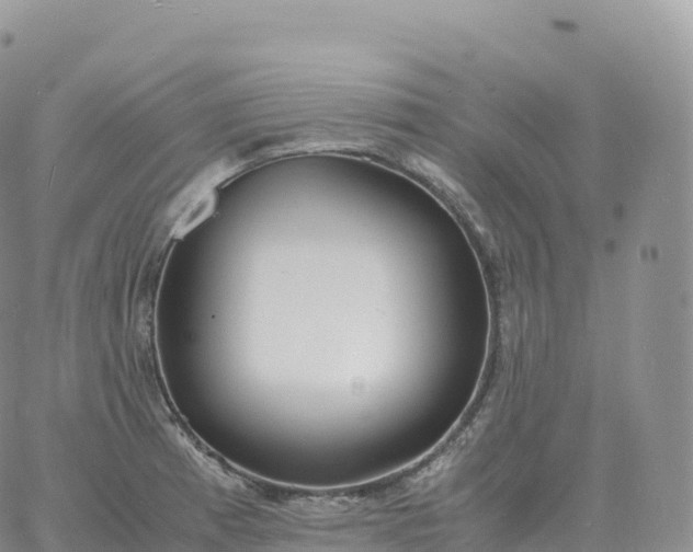 X0000060771185200511241746