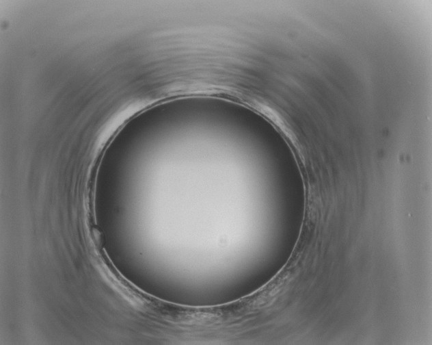 X0000060771187200511241746