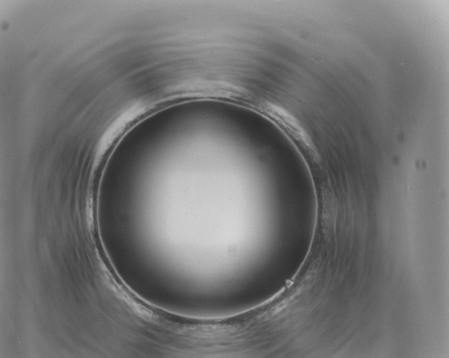 X0000060771188200511241746