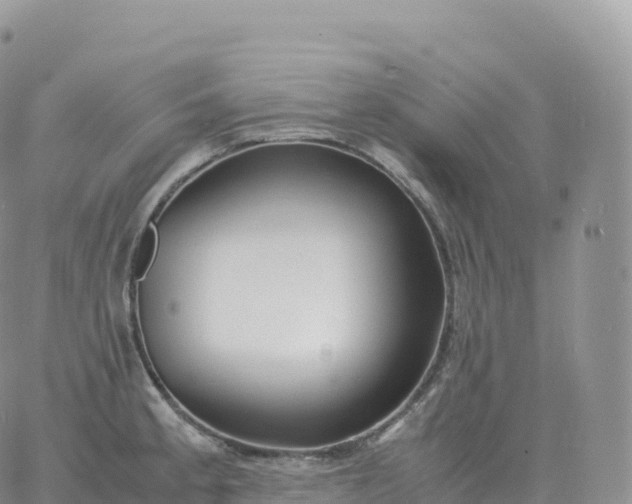 X0000060771189200511241746