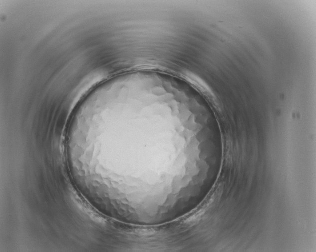 X0000060771190200511241746