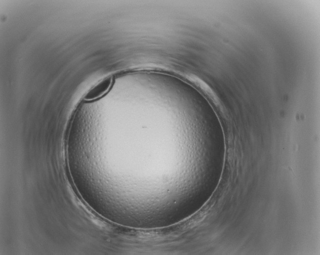 X0000060771191200511241746