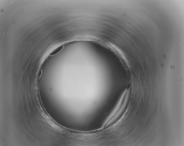 X0000060771192200511241746