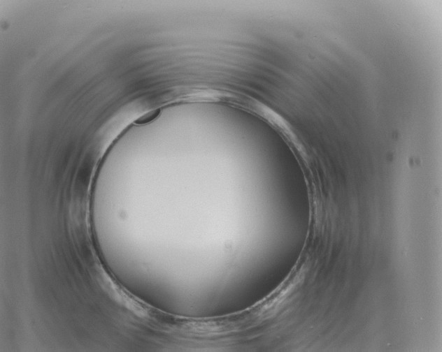 X0000060771194200511241746