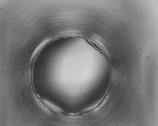 X0000060771196200511241746