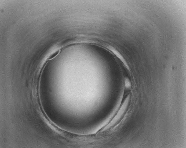 X0000060771197200511241746