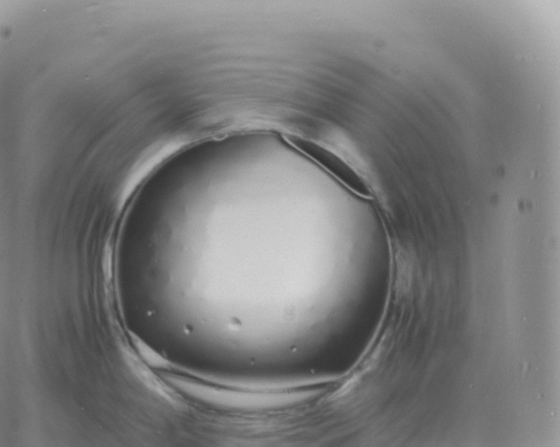 X0000060771198200511241746