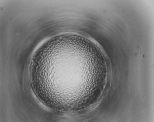 X0000060771199200511241746