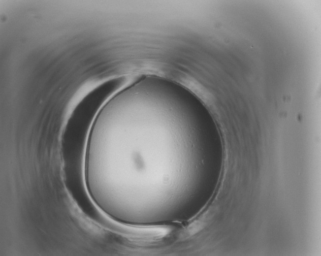 X0000060771200200511241746