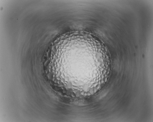 X0000060771201200511241745