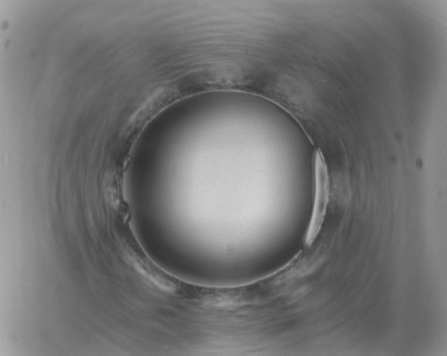 X0000060771202200511241745