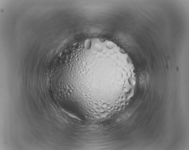 X0000060771204200511241745