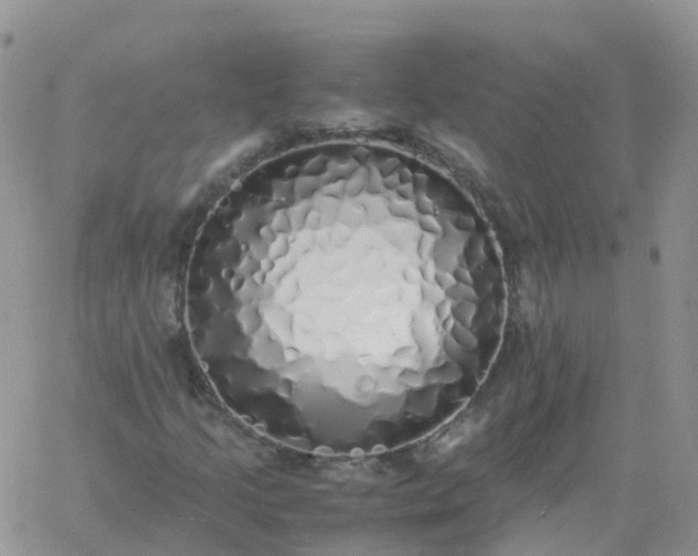 X0000060771205200511241745