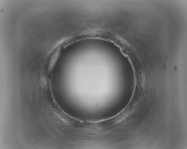 X0000060771206200511241745