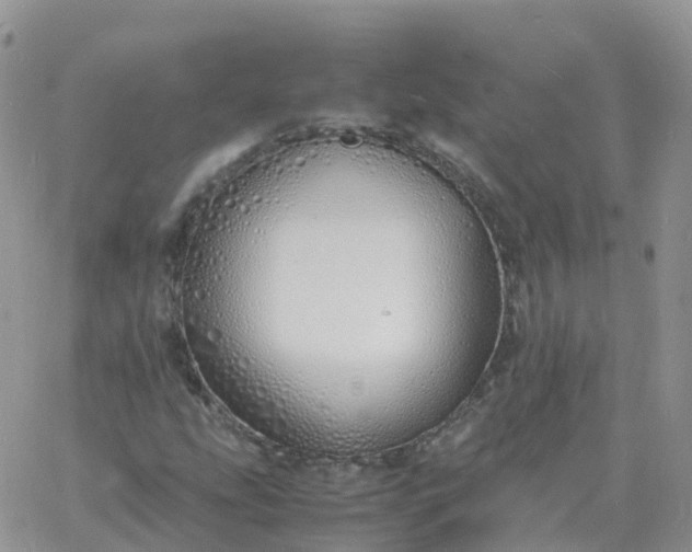 X0000060771207200511241745