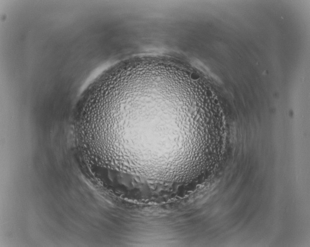 X0000060771208200511241745