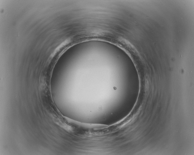 X0000060771210200511241745