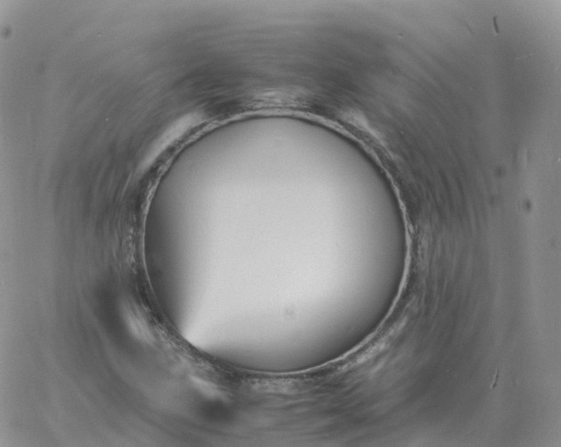 X0000060771211200511241745