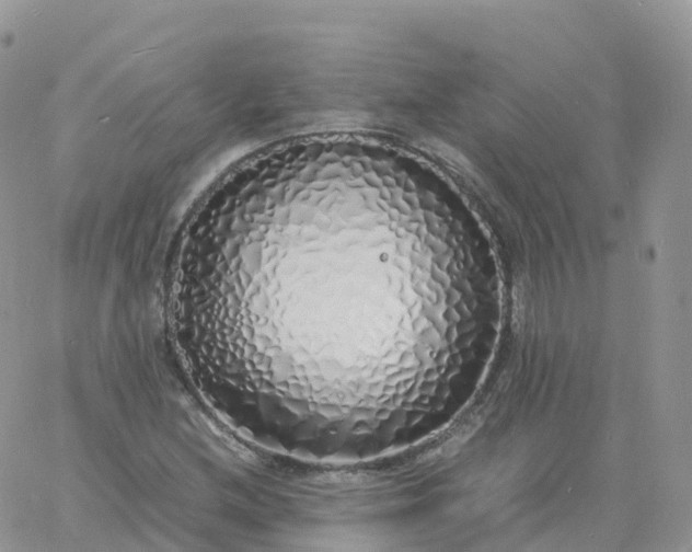 X0000060771212200511241745