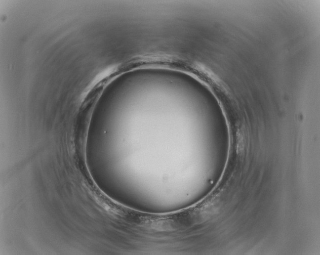 X0000060771213200511241745