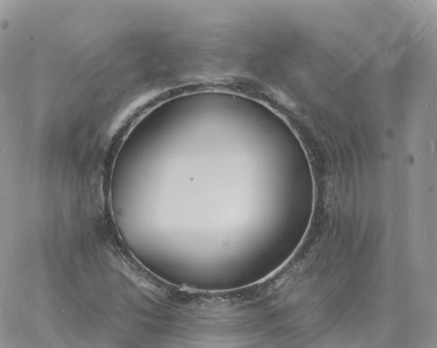 X0000060771214200511241745