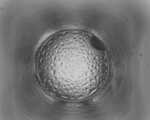 X0000060771215200511241745