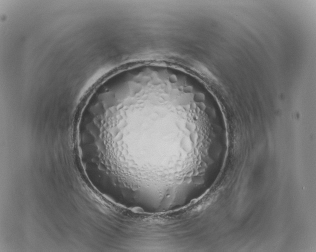 X0000060771216200511241745