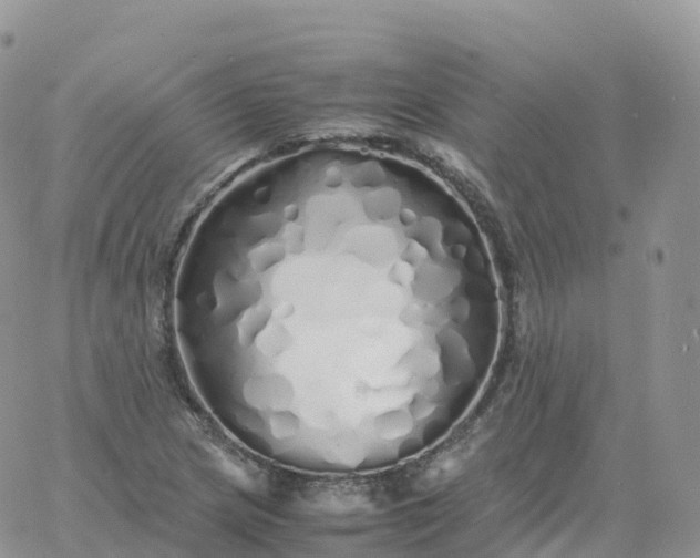 X0000060771217200511241745