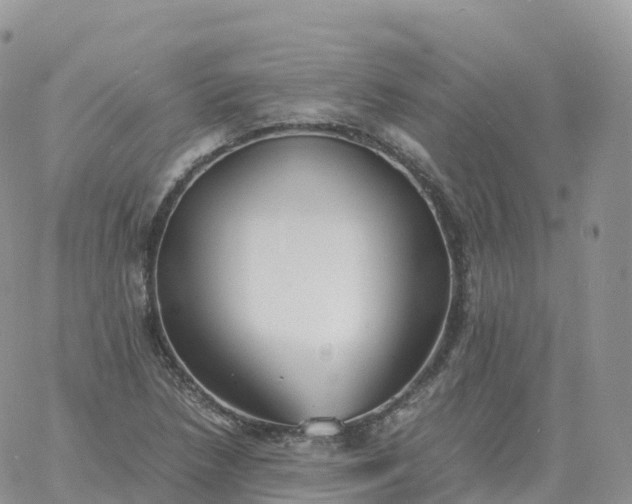 X0000060771218200511241745