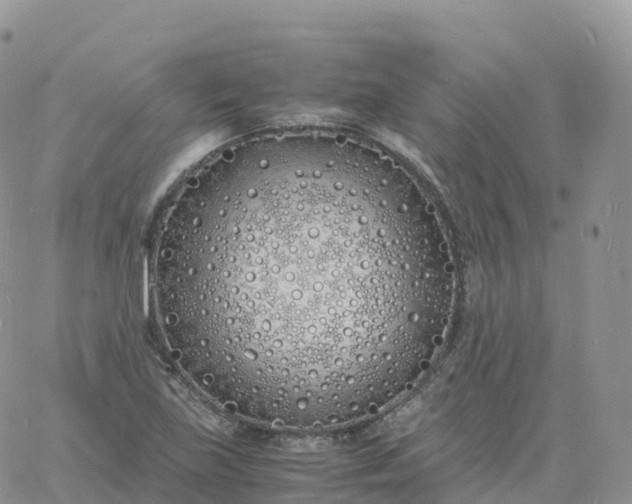 X0000060771219200511241745