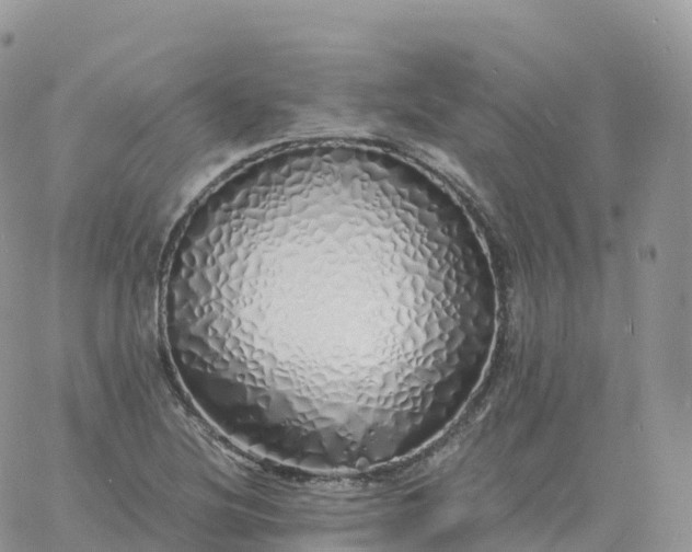 X0000060771220200511241745