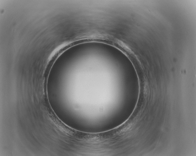 X0000060771222200511241745