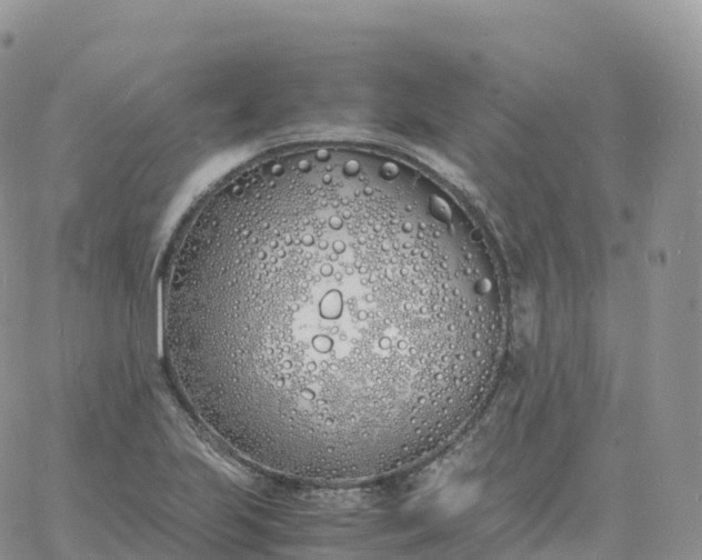 X0000060771223200511241745