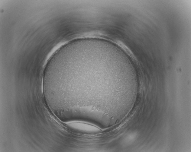 X0000060771224200511241745