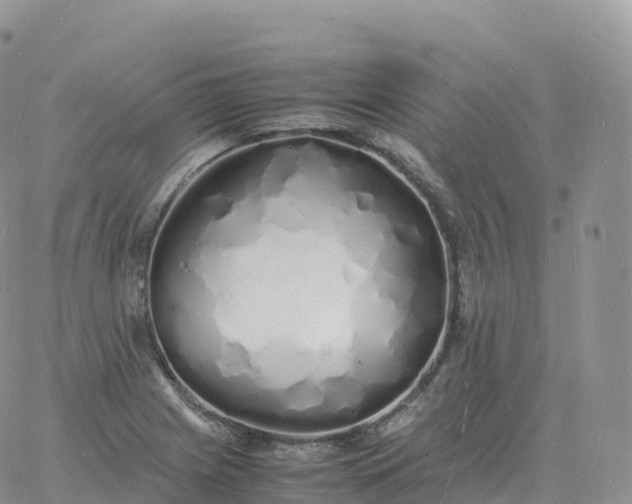 X0000060771225200511241745