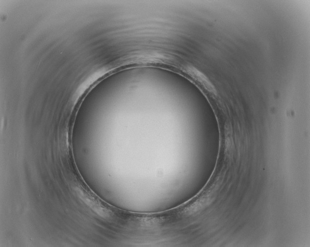 X0000060771226200511241745