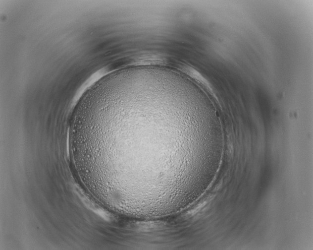 X0000060771227200511241745