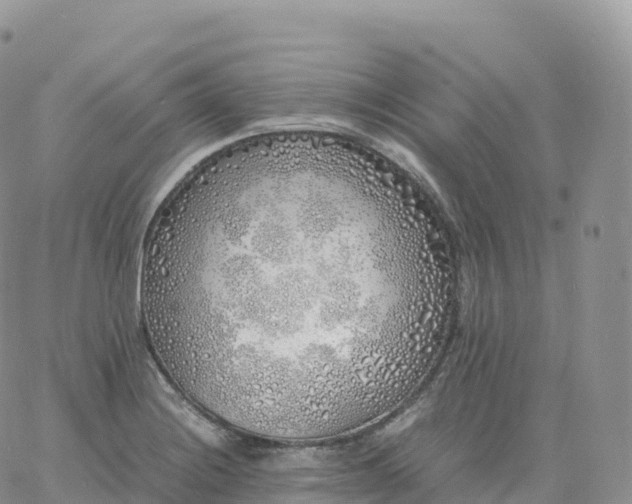 X0000060771228200511241745