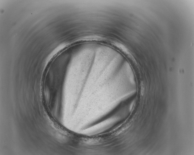 X0000060771229200511241745