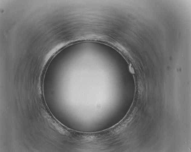 X0000060771230200511241745